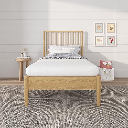 NapQueen 5 Inch Twin Memory Foam Mattress - Medium Feel, CertiPUR-US, Bed in a Box, Breathable Cover, White