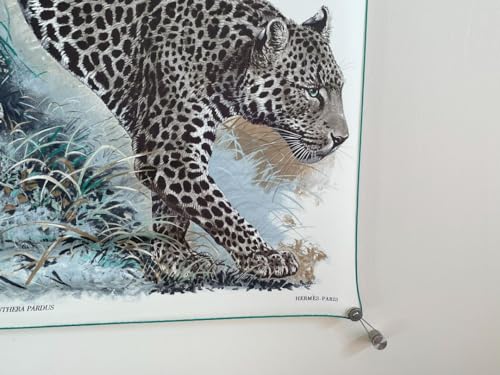 Stainless Steel Hanging System for Scarves & Artwork with Magnetic Hooks - Brushed Finish
