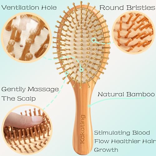 Ellipse 8-Pack Bamboo Hair Brushes for Hair Growth & Scalp Massage - Eco-Friendly Wooden Detangling Comb Set