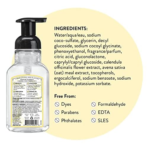 J.R. Watkins Foaming Hand Soap with Pump Dispenser, Moisturizing Foam Hand Wash, Alcohol-Free, Cruelty-Free, Citron, 9 fl oz, 3 Pack