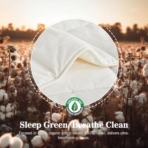 KUSNUG Year-round Twin Hybrid Wool Comforter with Organic Cotton Shell
