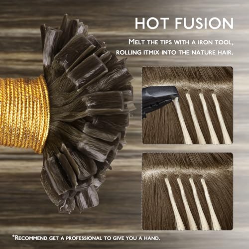 WENNALIFE 14 Inch Balayage Chocolate Brown to Caramel Blonde U Tip Human Hair Extensions 50g