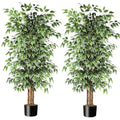 6 FT Artificial Ficus Tree with Real Wood Trunks - 2 Pack Indoor Decor Variation of This Listing