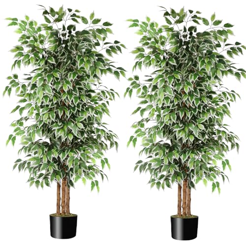 6 FT Artificial Ficus Tree with Real Wood Trunks - 2 Pack Indoor Decor Variation of This Listing