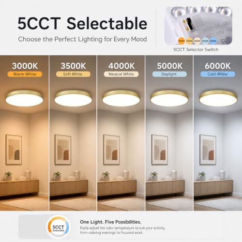 Gold 24-Inch LED Flush Mount Ceiling Light 48W Dimmable 5CCT Modern Fixture