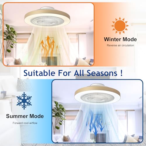 Depuley 19-Inch Gold Bladeless Ceiling Fan with Remote & App Control
