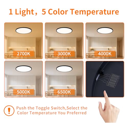 Black 12-Inch LED Flush Mount Ceiling Light - 24W Dimmable, 5 CCT Options, Slim Profile for Bedroom Kitchen Hallway