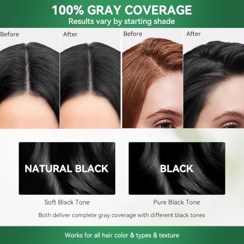 Limer Natural Black Hair Dye Shampoo 3-in-1 for Gray Hair - Variation of THIS listing