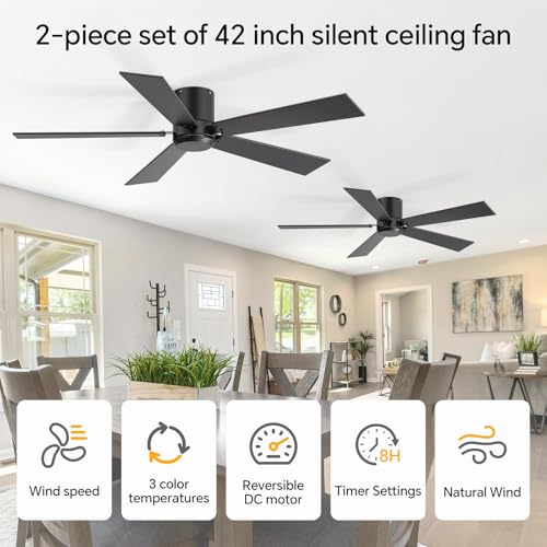 ZYD 2-Pack 42 Inch Black Ceiling Fans with Remote, No Light, Reversible DC Motor, Indoor & Outdoor