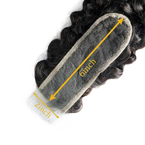 14 Inch Curly Brazilian Virgin Human Hair Lace Closure Pre-Plucked Baby Hair 2x6