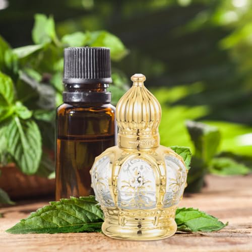 Housoutil 10 pcs Refillable Sample On Container,Vintage Perfume Bottles Middle Eastern Style Glass Roll on Bottles for Essential oils£¬10ml