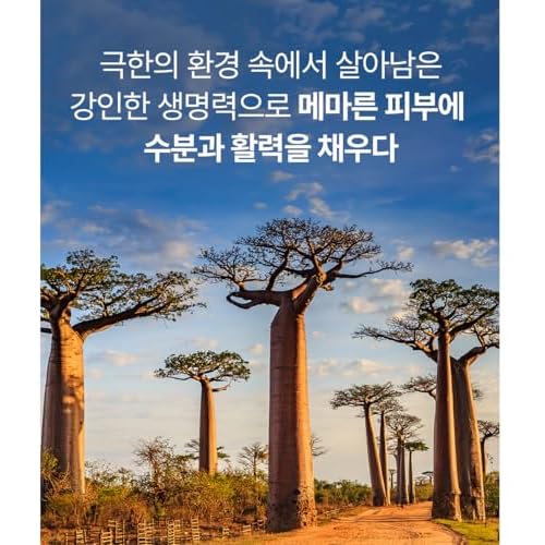 Nature Republic] Africa Bird Homme All in One Fresh Balancer - by calli shop