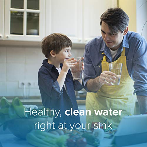 Water Filter Replacement 3 Pack for Under Sink Reverse Osmosis System - Lasts 6 Months