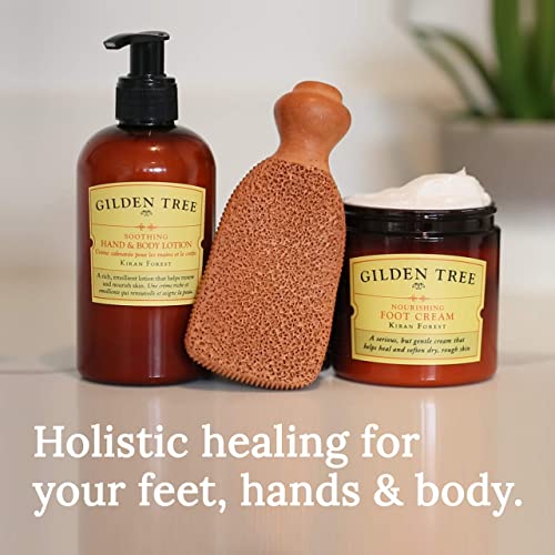 Organic Hand & Body Lotion with Aloe Vera & Shea Butter - 8oz Moisturizer for Dry Skin