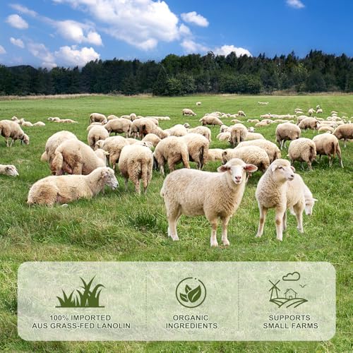 3.5 Ounce Pure Australian Lanolin Cream - Natural Moisturizer for Dry Skin & Nipple Relief