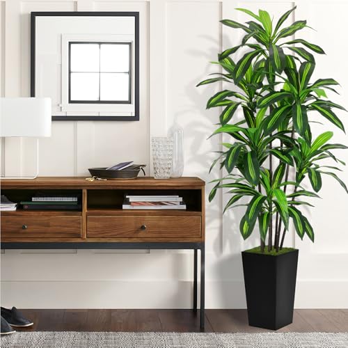 Artificial 6FT Dracaena Tree with Black Tall Planter - Realistic Indoor Decor