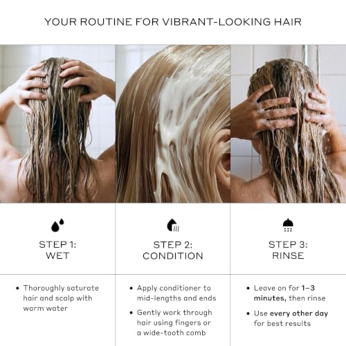 Zenagen Eclipse Gray Support Conditioner 6.75 Fl Oz - Color Preservation & Anti-Grey Formula