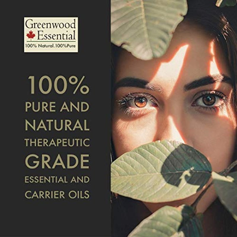 Greenwood Essential Green Tea Oil (Camellia sinensis) with Glass Dropper | Cold Pressed | Natural | Undiluted | for Diluting Essential Oils | for Skin & Massage | Men & Women | 15ml (0.50 oz)