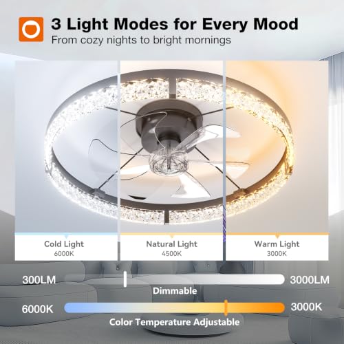 Addlon 24-Inch Low Profile Ceiling Fan with Lights & Remote - Black