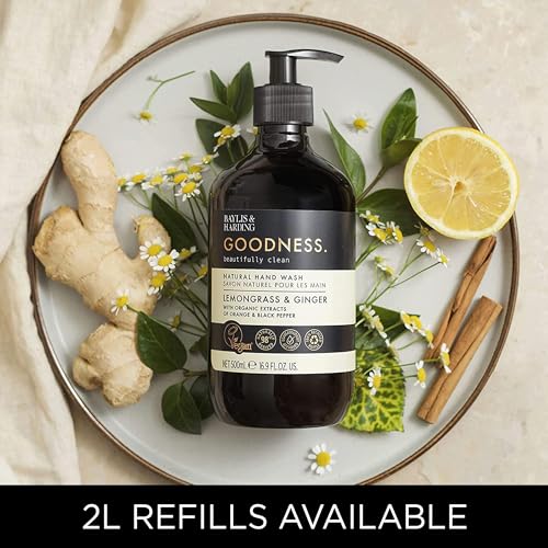 Baylis & Harding Liquid Hand Soap Wash with Dispenser, Goodness, Lemongrass & Ginger, 16.9oz/500ml