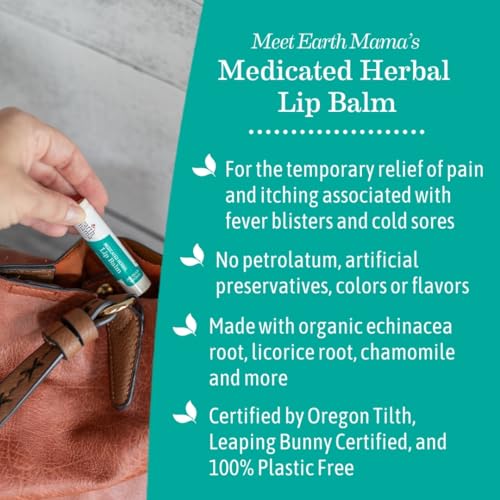 Medicated Herbal Mint Lip Balm Set - Organic, Pain & Cold Sore Relief - 4 Pack