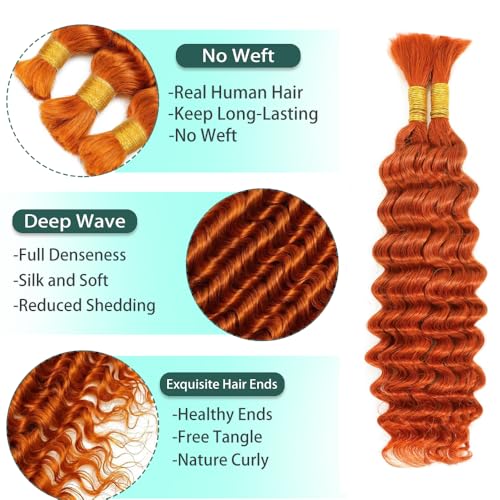 Bulk-#350 Orange Human Boho Braiding Hair 20 Inch 2 Bundles for Braids
