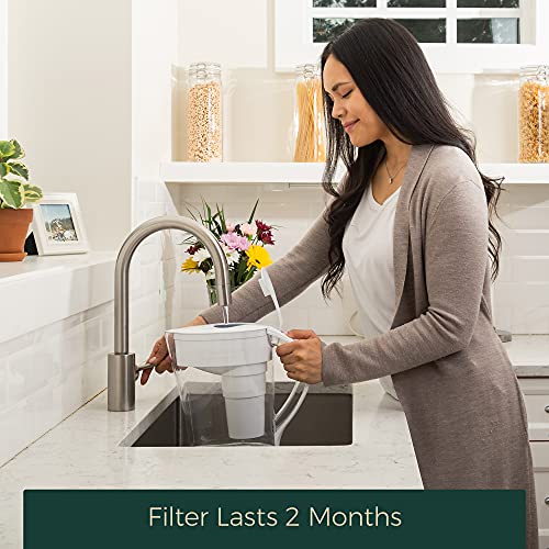 Santevia MINA Alkaline Water Filter 3-Pack | Adds Minerals & Removes Lead & Chlorine
