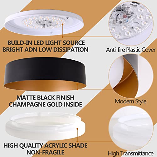 Flush Mount Ceiling Light 2-Pack - Matte Black with Gold Interior, 12.5 Inch