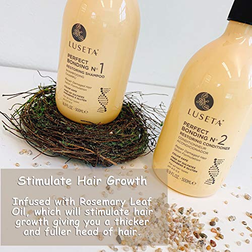 Luseta Perfect Bonding Restoring Shampoo 33.8 oz - Pack of 1