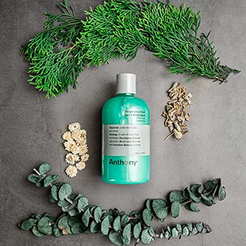 Anthony Mens Body Wash and Shampoo: Invigorating Rush 2-In-1 Liquid Gel Soap & Hair Shampoo, Pine Wood Scent, Hydrating with Eucalyptus, Canadian Balsam, Birch Leaf, Charcoal, Sea Kelp, 12 Fl. Oz