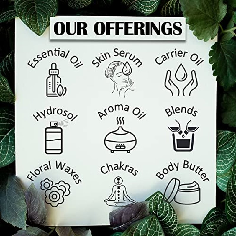 d?ve herbes Arnica Oil (Arnica Montana) with Glass Dropper | Infused | Pure | Non-Sticky | Lightweight | for Facial Care | Men & Women | 30ml (1 oz)