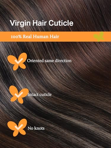 Hair Extensions Real Human Hair 20 Inch Dark Brown to Chestnut Brown 60g – Seamless Sew-In, Clip-In, Tape-In & Micro Beads