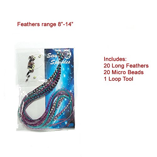Genuine Rooster Feather Hair Extensions Set - 20 Long Colorful Feathers with Beads & Loop Tool Kit