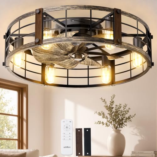 addlon 24-Inch Caged Ceiling Fan with Lights and Remote - Black Brushed Gold Variation