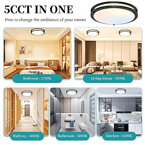 Black 16-Inch LED Ceiling Light Fixtures 50W Dimmable 5CCT Adjustable Pack of 2
