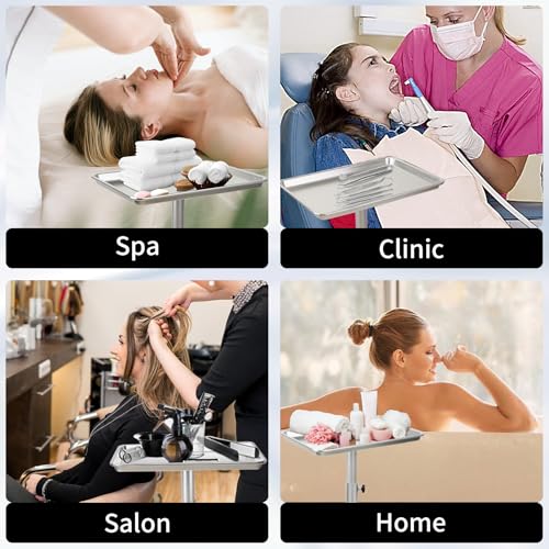 Salon Tray on Wheels, Hair Color Tray Salon Service Rolling Cart with Adjustable Height, Metal Tattoo Trolley Tray for Spa&Home Use, Silver