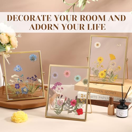 Gold Floating Photo Frame 5x7 Inches - Vintage Double Glass Display