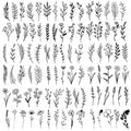 18 Sheets Realistic Temporary Tattoo, Tiny Branch Black Flower Temporary Tattoos for Women Girls Kids, Bouquet Small Tattoo Temporary Sticker Wild Plant Floral Fake Tattoos