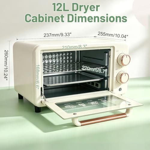 12L Nail Tool Dryer Cabinet with Hot Air Circulation and Timer
