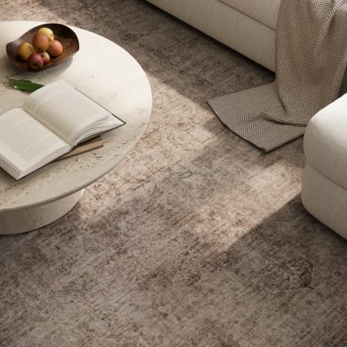 Machine Washable Area Rug 6x9 for Living Room & Bedroom - Brown/Red/Multi