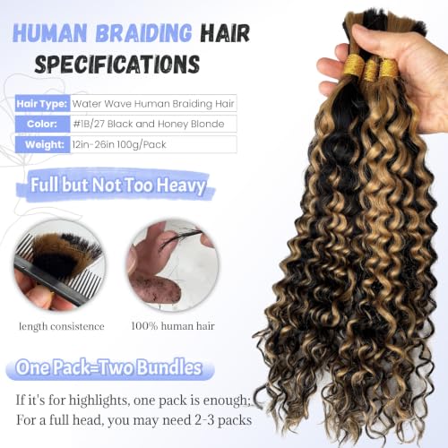 Boho Human Braiding Hair Curly 16 Inch 100G - Black & Honey Blonde