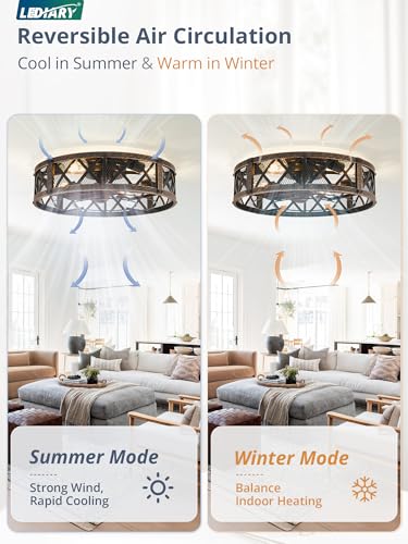 20-Inch Black Gold Caged Farmhouse Ceiling Fan with Light - Flush Mount