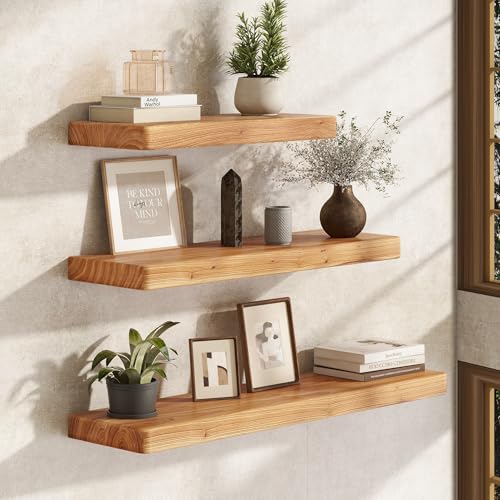 Floating Wall Shelves Set of 2 - 24 Inch Reclaimed Elm Rustic Storage for Kitchen & Bathroom - Variation Elm / 6.7"D x 24"L