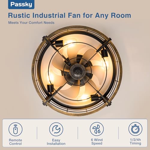 Black Brushed Gold Passky 20-inch Caged Ceiling Fan with Lights and Remote
