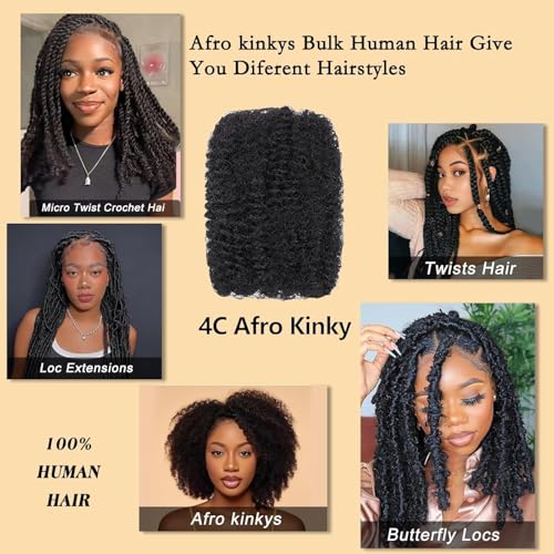 Natural Black Afro Kinky Human Hair Bulk 20 Inch for Braiding and Locs - 35g/Pack