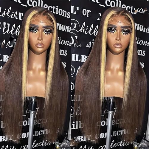 Brown Hair Color Lace Front Wig 24 Inch Long Straight Hair with Honey Blonde Highlights - Variation F27P