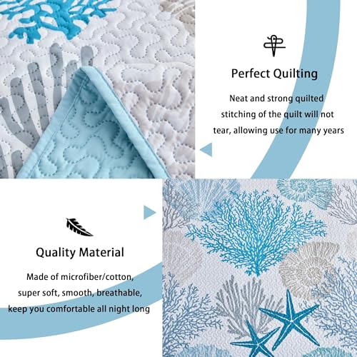 Coastal King Size Quilt Set - Beach Pattern 3-Piece Bedding Set - Coastal1 Variation