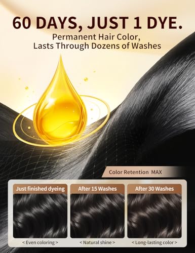 AKOIIN Black Hair Dye Shampoo for Gray Hair - Natural Black 3 in 1 Wash & Dye