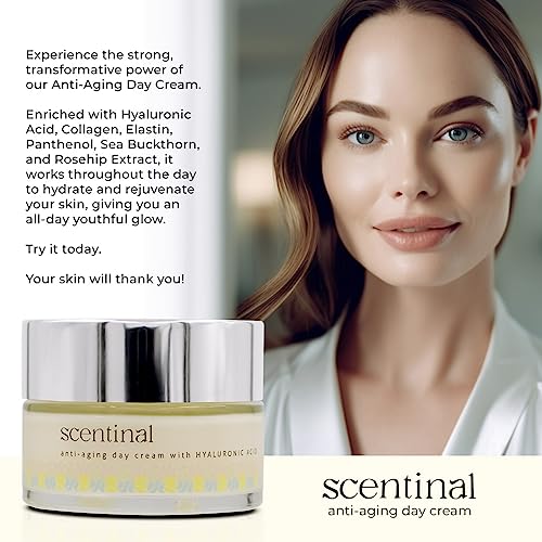 Secura Moisturizer Cream, 59431900, 3oz Tube (each)