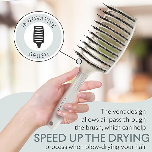 Wide Vented Boar Bristle & Nylon Detangler Hair Brush for All Hair Types